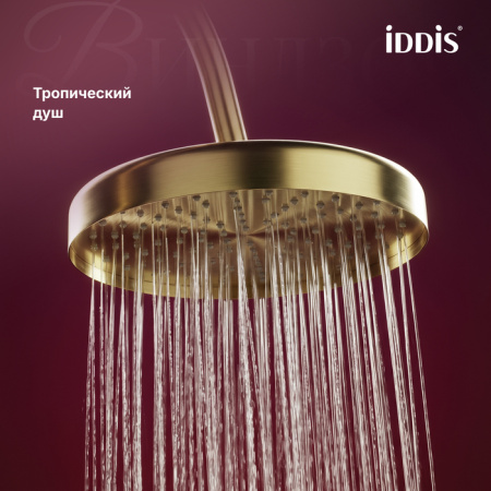 Душевая система Iddis Виндзор (Windsor) WINMG3Fi06 матовое золото фото
