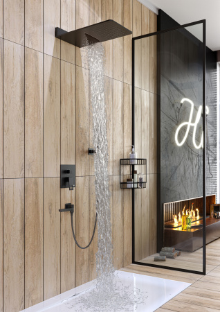 Душевая система скрытого монтажа Timo Briana SX-7119/03SM фото