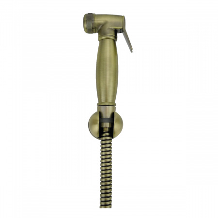 Гигиеническая лейка без смесителя Lemark LM8087B фото