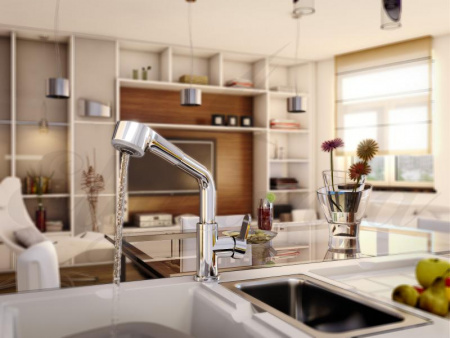 Смеситель для кухни Elghansa Dynamic 5652438 фото