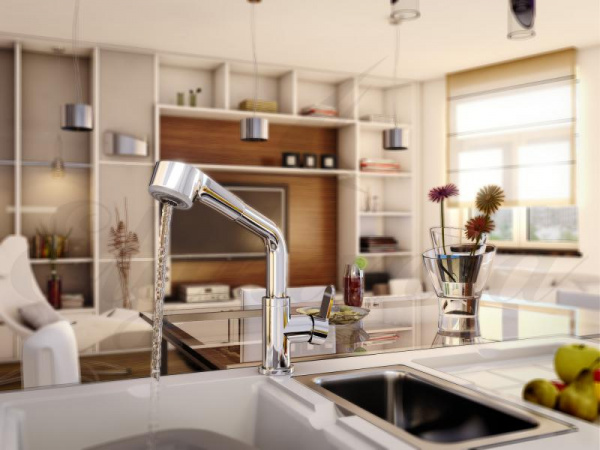 Смеситель для кухни Elghansa Dynamic 5652438 фото