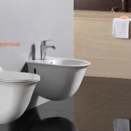 Биде подвесное CeramaLux TR5129 фото