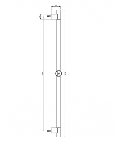 Душевая штанга Omnires DR09CR хром фото