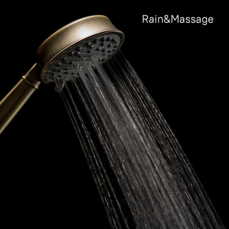 Душевая лейка Iddis Oldie OLD3F02i18 фото