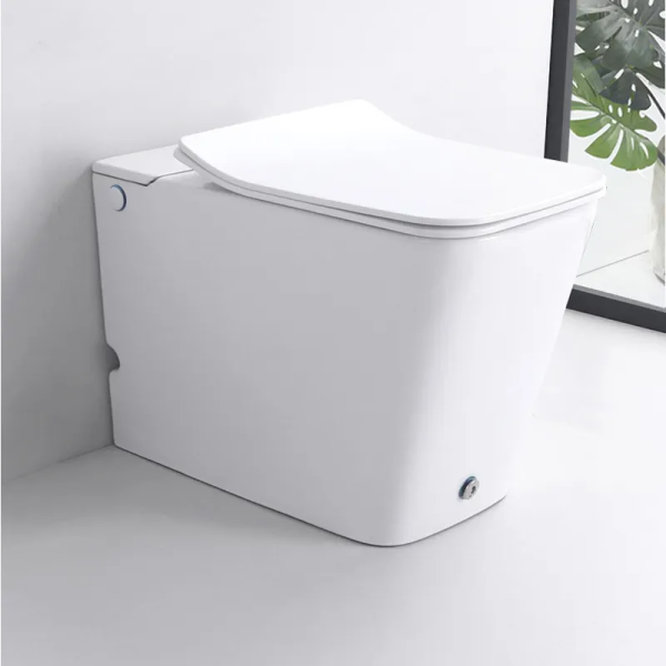 Унитаз приставной с функцией импульсного смыва Cerutti SPA Disgrazia CT7269 с сиденьем фото