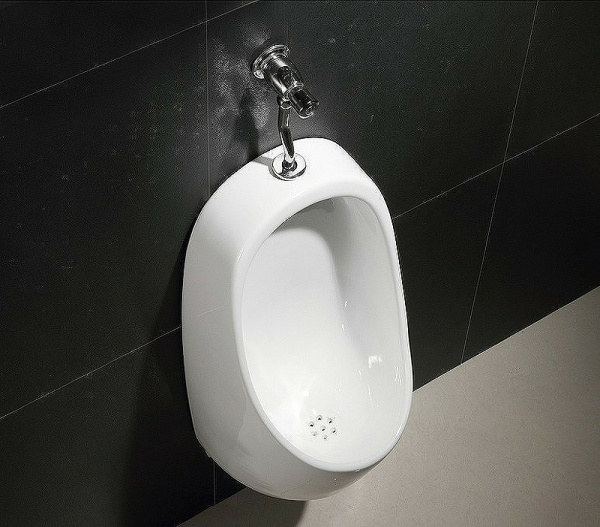 Писсуар кнопочный CeramaLux Х541P кнопочный, слив в стену фото