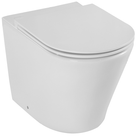 Унитаз приставной Jacob Delafon Rodin+ EDAA102-00 фото