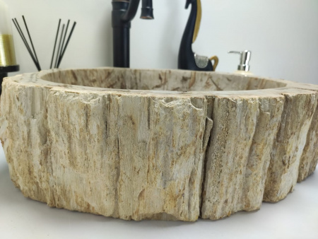 Раковина из окаменелого дерева Indo Fossil Basin OD-00403 фото
