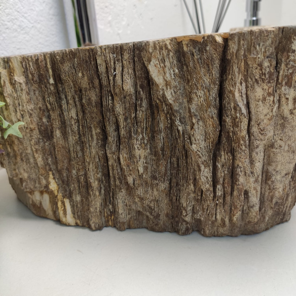 Накладная раковина из окаменелого дерева Fossil Basin OD-01244 (37*33*15) фото