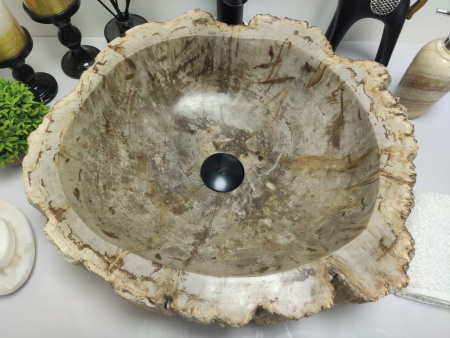Раковина из окаменелого дерева Indo Fossil Basin OD-00403 фото