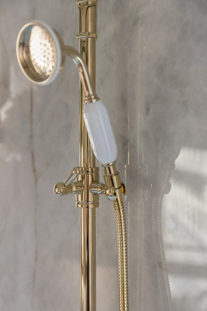 Душевая система (стойка) Jacob Delafon Cleo 1889 E24311-BGG золото глянцевое фото