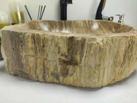 Раковина из окаменелого дерева Indo Fossil Basin OD-00410 фото