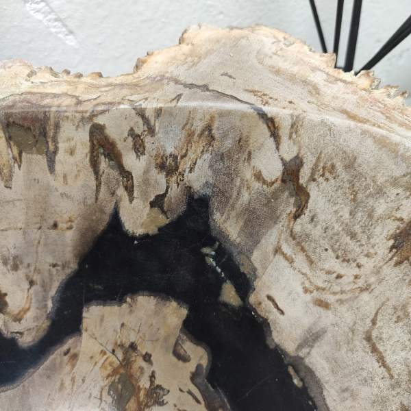 Накладная раковина из окаменелого дерева Fossil Basin OD-01286 (49*37*15) фото