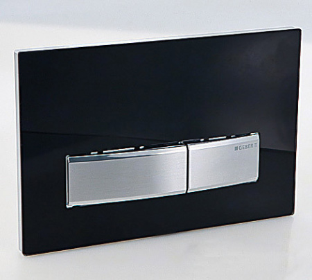 Смывная клавиша Geberit Sigma 50 115.788.DW.5 черная фото