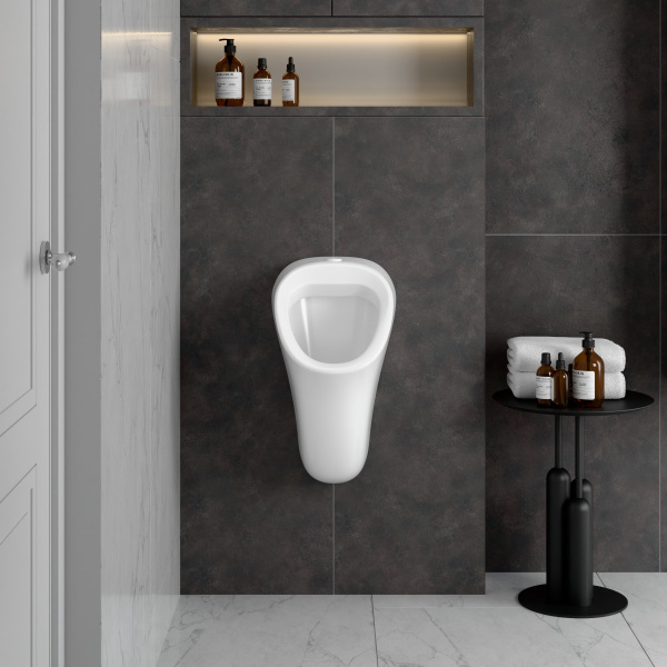 Писсуар подвесной VitrA Arkitekt (Аркитект) 6202B003-0198 подвод воды сверху фото