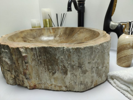 Раковина из окаменелого дерева Indo Fossil Basin OD-00402 фото