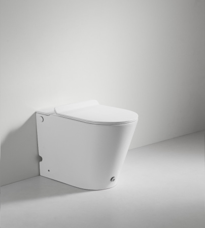 Унитаз приставной с функцией импульсного смыва Cerutti SPA Argentera CT7267 фото