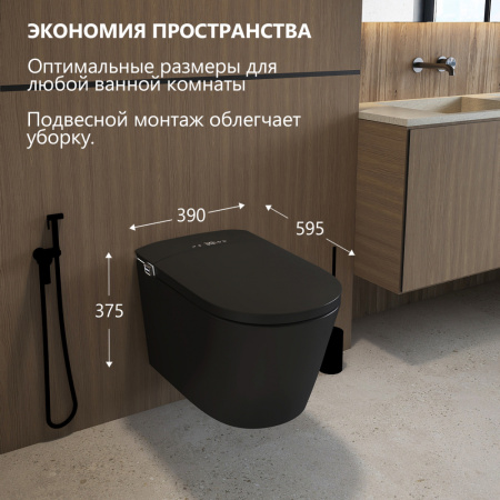 Электронный унитаз-биде импульсный Abber Bequem AC1121SMB черный матовый фото