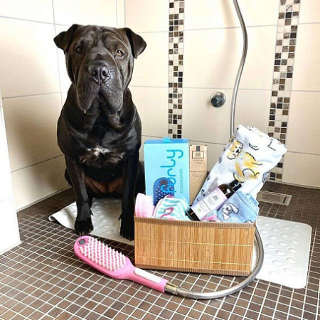 Ручной душ для собак Hansgrohe DogShower 3jet 26640560 розовый фото