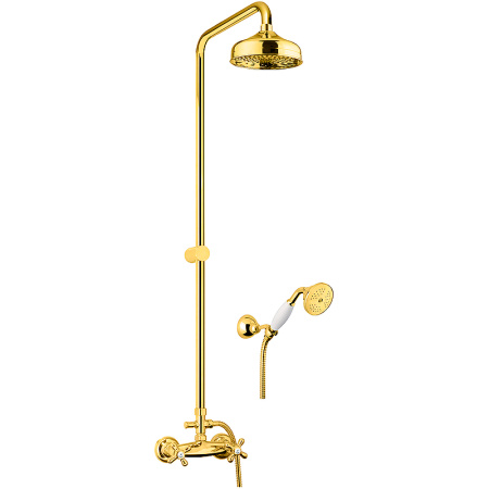 Душевая система Webert Armony AM760405010 Золото фото