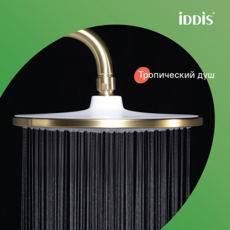 Душевая система Iddis Aiger AIGMG3Fi06 матовое золото фото