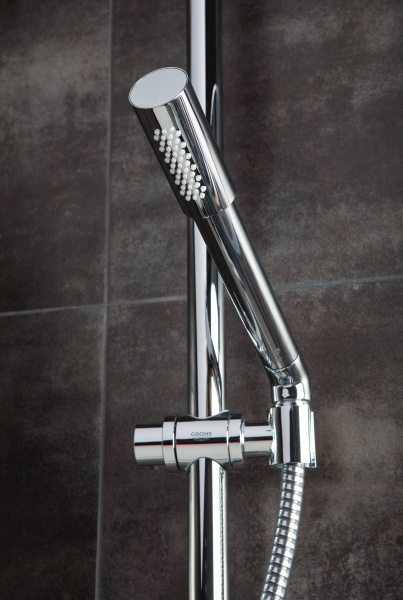 Душевая лейка Grohe Sena 28034000 фото
