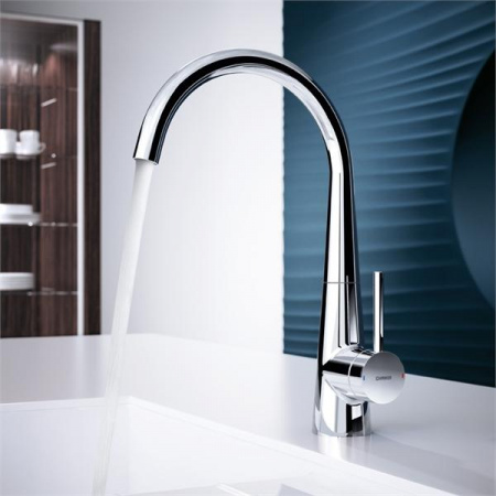 Смеситель для кухни Hansa Designo 51012273 фото