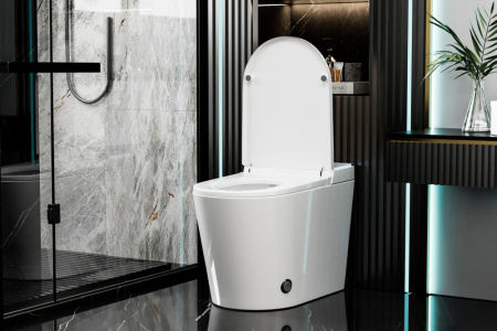 Электронный унитаз-биде Abber Bequem AC1117S фото