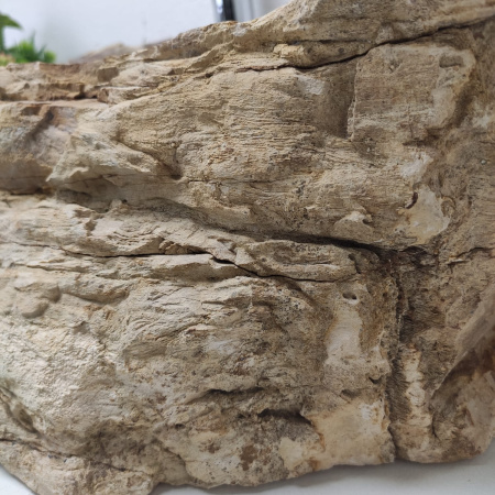 Накладная раковина из окаменелого дерева Fossil Basin OD-01333 (87*44*17) фото