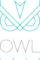 Owl 1975 Owl 1975