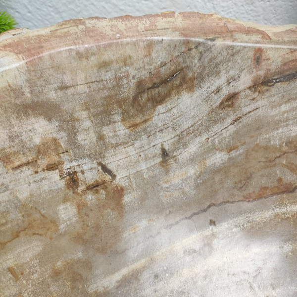 Накладная раковина из окаменелого дерева Fossil Basin OD-01319 (61*45*15) фото