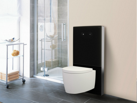 Модуль для подвесного унитаза Oli QR-INOX SUSP BUTTON 061568 черный фото