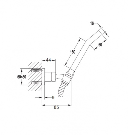 Душевая лейка Omnires Iguacu IGUACU-PCR хром фото