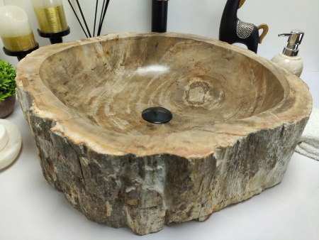 Раковина из окаменелого дерева Indo Fossil Basin OD-00402 фото