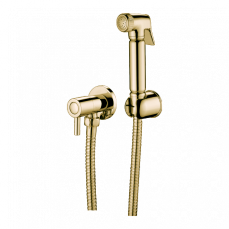 Гигиеническая лейка без смесителя Ganzer GZ20 GZ 2011D set фото