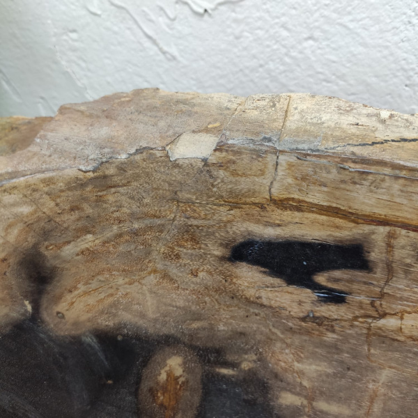 Накладная раковина из окаменелого дерева Fossil Basin OD-01333 (87*44*17) фото