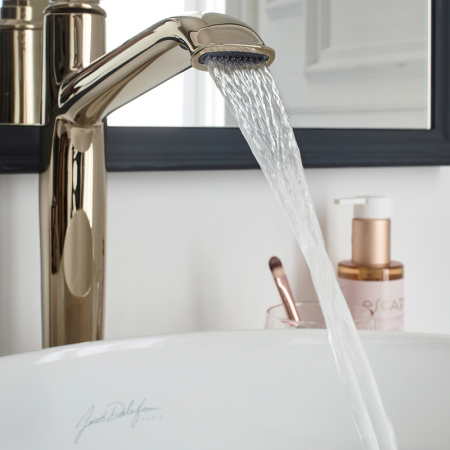 Смеситель для раковины Jacob Delafon Cleo1889 E24307-BGG золото фото