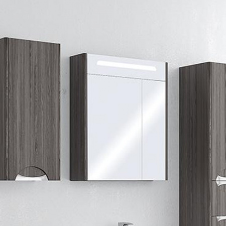 Зеркало-шкаф Акватон Сильва 60 1A216202SIW50 фото