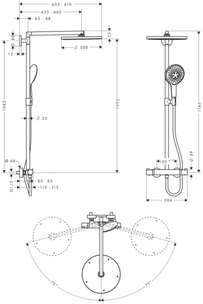 Душевая система (стойка) Hansgrohe Raindance Select Showerpipe 300 27114000 фото