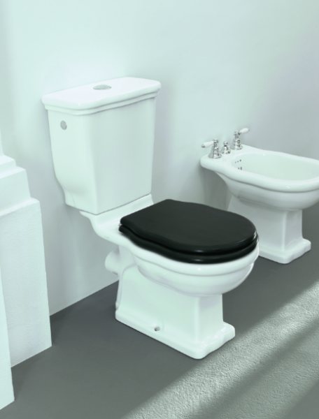 Унитаз напольный с бачком Artceram Hermitage HEV004 01 00/ EE03 bi хром фото