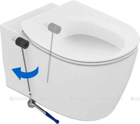 Унитаз с инсталляцией Ideal Standard Prosys Connect E211601 фото