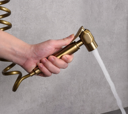 Гигиенический душ со смесителем Elghansa Classic 12C0884-Bronze (Set-49) фото