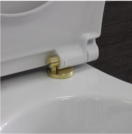Сиденье для унитаза GSI Classic MSO8711 bi/oro фото