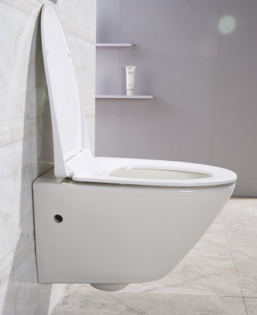 Унитаз подвесной BelBagno Alpha BB300CHR фото