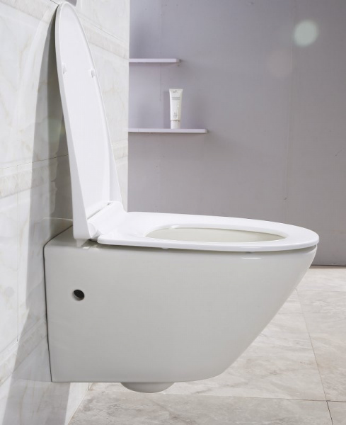 Унитаз подвесной BelBagno Alpha BB300CHR фото