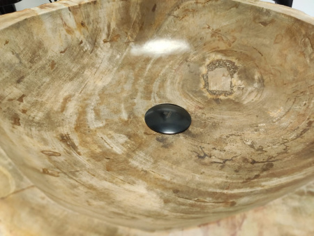 Раковина из окаменелого дерева Indo Fossil Basin OD-00402 фото