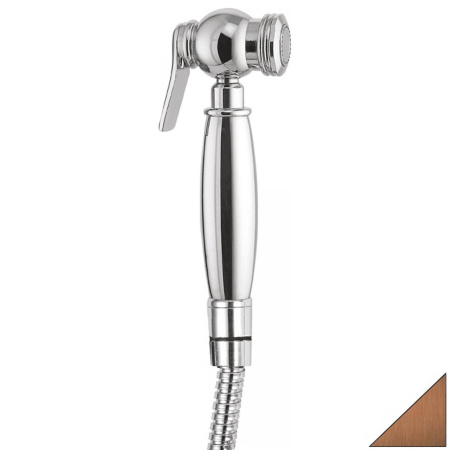 Гигиеническая лейка без смесителя Cezares Atlantis ATLANTIS-IFS-02 бронза фото