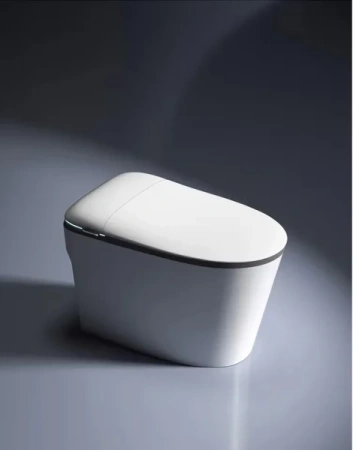 Умный электронный унитаз с функцией биде Santiline SL-5036 фото