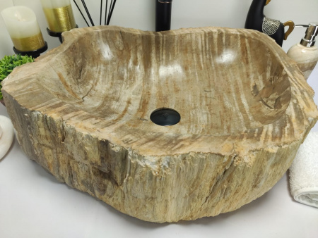 Раковина из окаменелого дерева Indo Fossil Basin OD-00410 фото