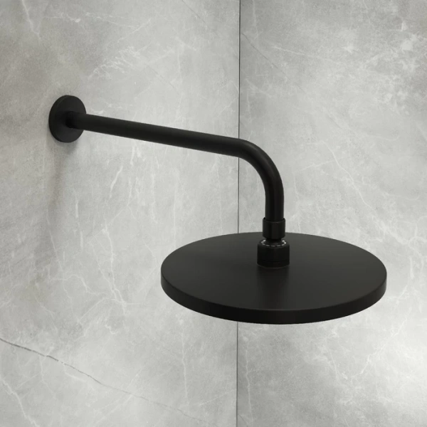 Верхний душ Iddis Optima Home OPH25BPi64 черный матовый фото